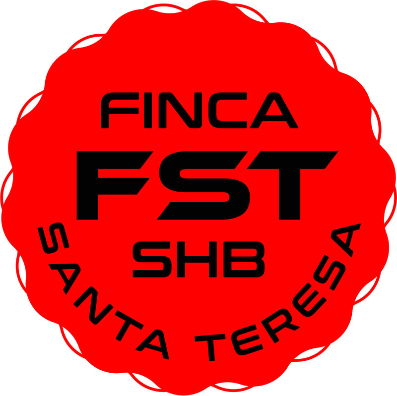 FST Natural Geisha coffee roasted beans.