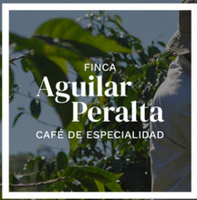 100% PANAMA -AGUILAR PERALTA NATURAL GEISHA WHOLE COFFEE ROASTED BEANS 8OZ,227G