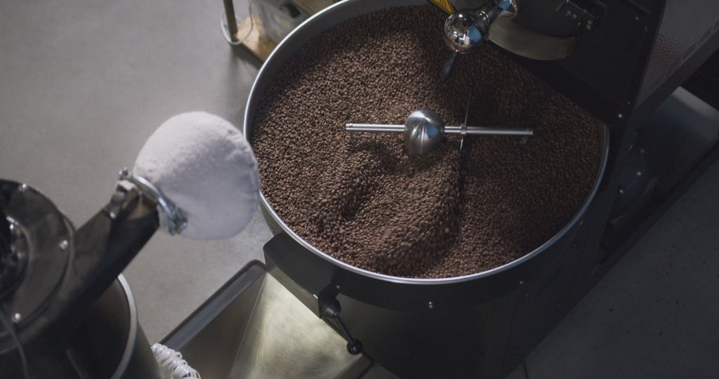 Panama Geisha Sampler – 100 g Bags