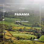Kotowa Las Brujas Natural Geisha whole bean coffee