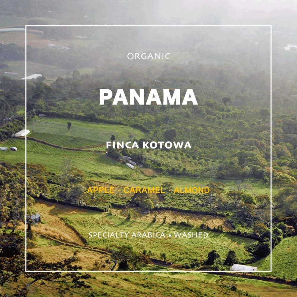 Kotowa Las Brujas Natural Geisha whole bean coffee